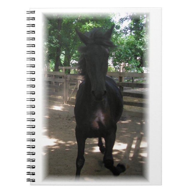 "Wild Mintaka!" Caderno (Frente)