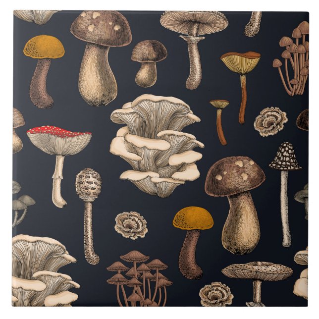 Wild Mushrooms  on graphite black (Frente)