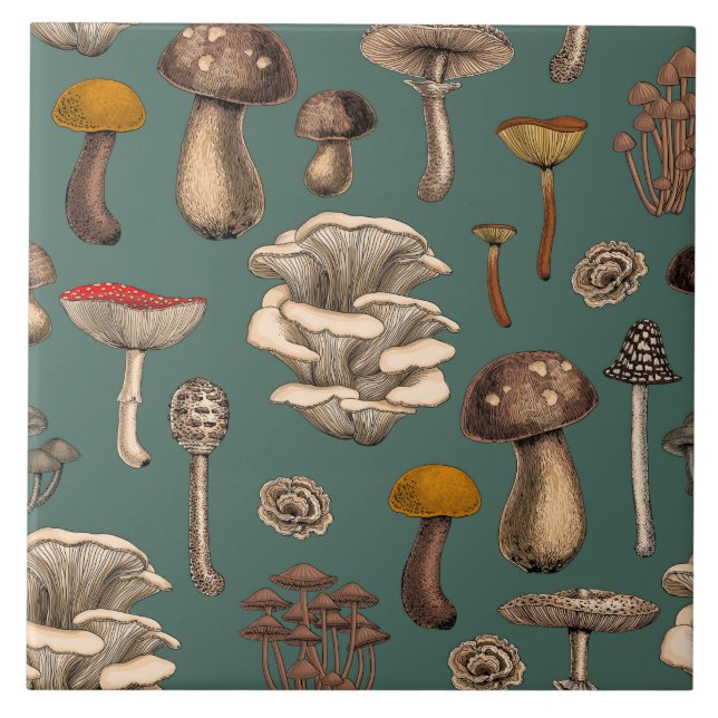 Wild Mushrooms  on pine green (Frente)