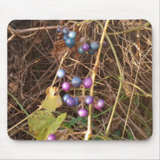 Wild Porcelain Berry Vine In Nature Mouse Pad