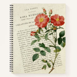 Wild Rosa Eglantine: Um notebook botânico ventilad