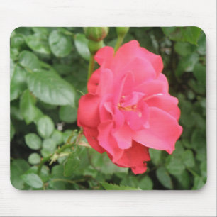 Wild Rosa Mousepad