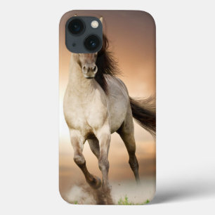 Wild Stallion Running In Sunset