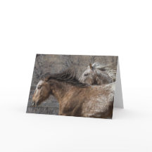 Wild Stallions: Cartão de saudação galopante para 