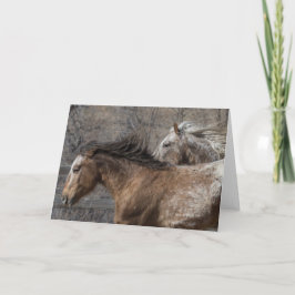 Wild Stallions: Cartão de saudação galopante para