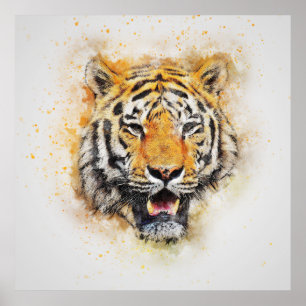 Wild Tiger Safari Trabalho de arte Foto Poster