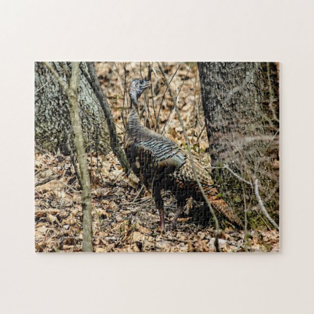 Wild Turkey em Woods Photo Quebra-cabeça com Gift  (Horizontal)