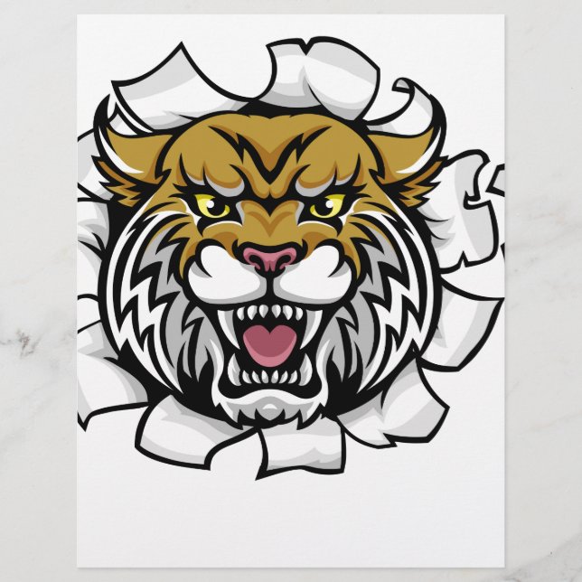 Wildcat Segurando Cricket Ball Quebrando Fundo (Frente)