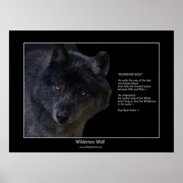 WILDERNESS WOLF Wildlife Supporter Poster poema (Frente)