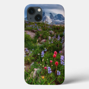 Wildflowers