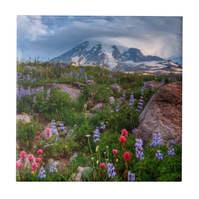 Wildflowers (Frente)