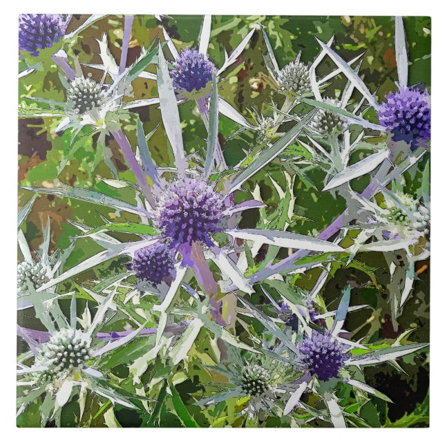 WILDFLOWERS (Frente)