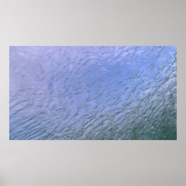 Wildlife 139 poster (Frente)