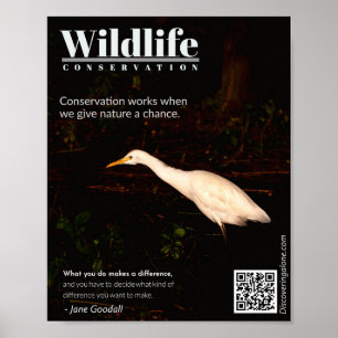 Wildlife Conservation Poster - Citação de Jane Goo