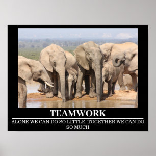 Wildlife Motivational Poster Elephant Trabalho em