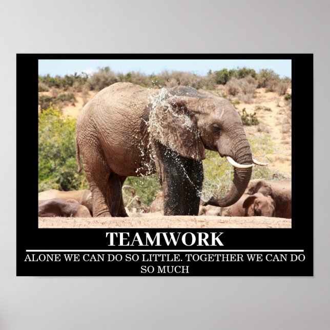 Wildlife Motivational Poster Elephant Trabalho em  (Frente)
