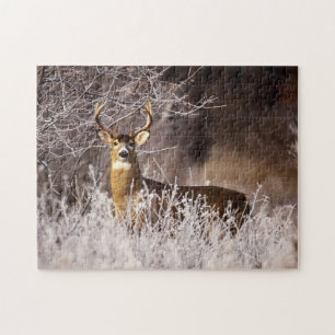 Wildlife Quebra-cabeça Deer