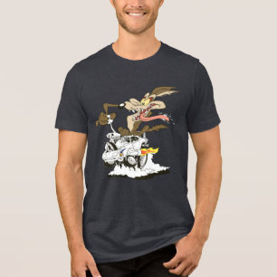 Wile E. Visão Louca do Coyote