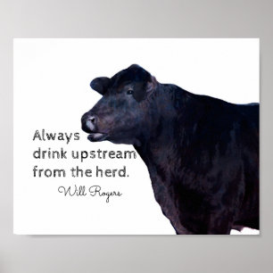 Will Rogers famoso citando poster com vaca negra