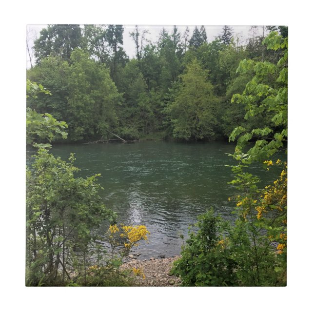 Willamette River, Elijah Bristow State Park, OR (Frente)