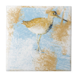 Willet Shorebird Trabalho de arte Beach Coasty Liv