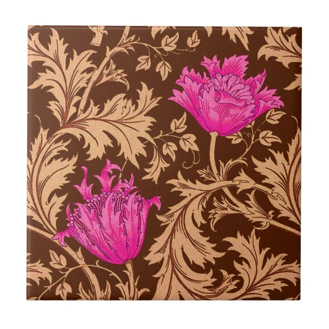 William Morris Anemone, Brown e Fuchsia Pink (Frente)