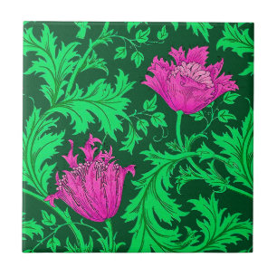 William Morris Anemone, Emerald Green e Fuchsia