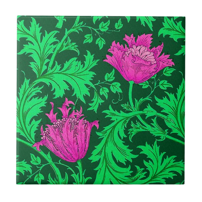 William Morris Anemone, Emerald Green e Fuchsia (Frente)