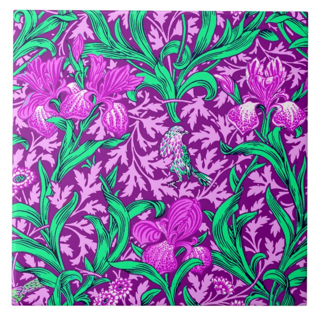 William Morris Irises, Ametista Roxo (Frente)