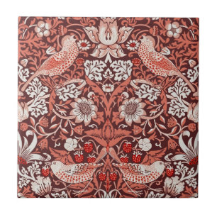 William Morris Morango Ladrão Terracota Pássaro
