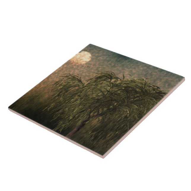 Willow no Sunset (Lateral)