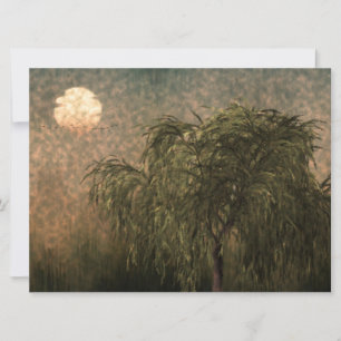 Willow no Sunset