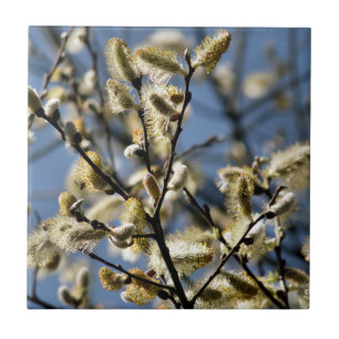 WILLOW TREE