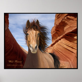 "Wind Runner", Wild Stallion Poster