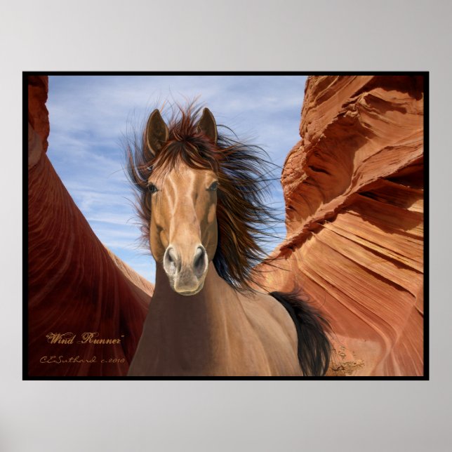 "Wind Runner", Wild Stallion Poster (Frente)