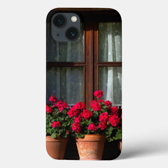 Window flower pots in village (Verso)