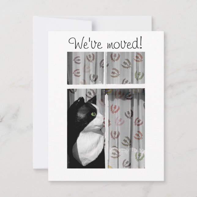 Windows Cat Novo Cartão de Anúncio Residencial (Frente)