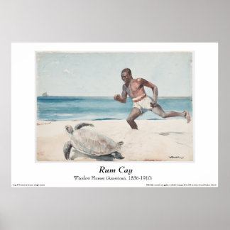 Winslow Homer - Poster Rum Cay