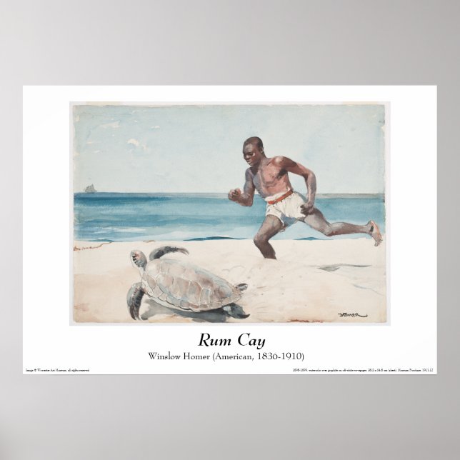 Winslow Homer - Poster Rum Cay (Frente)