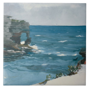 Winslow Homer - Rocky Shore, Bermuda