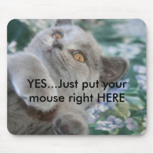 Winston o gato Mousepad