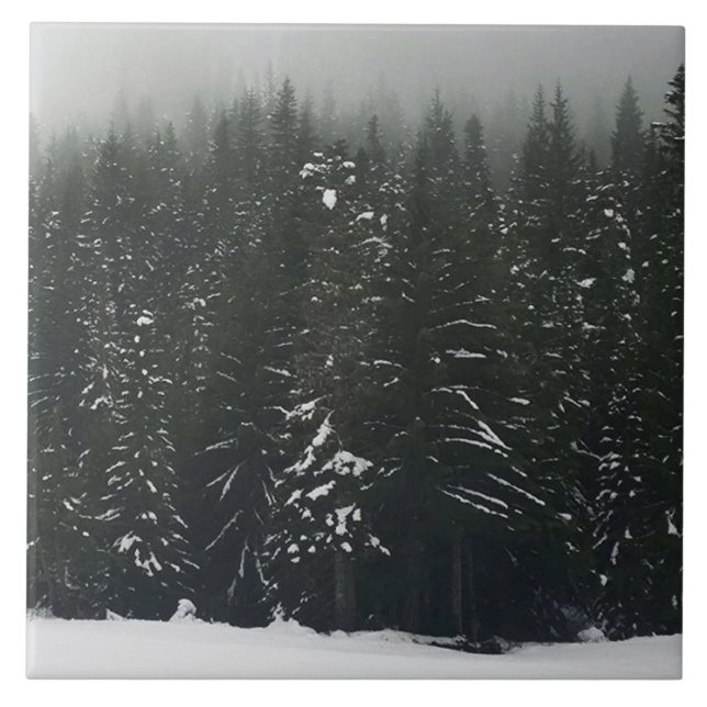 Winter in the Mountain Forest (Frente)