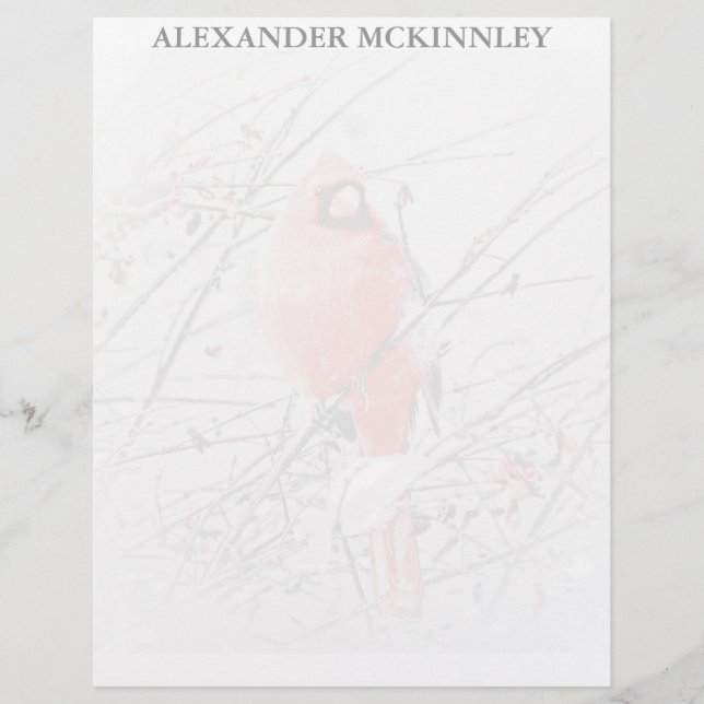 WINTER MALE CARDINAL (Frente)