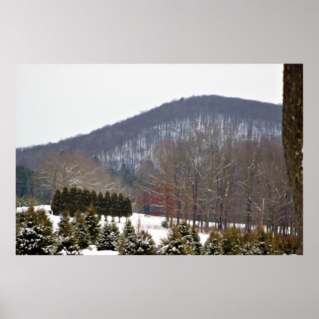 Winter Mountain View Poster (Frente)