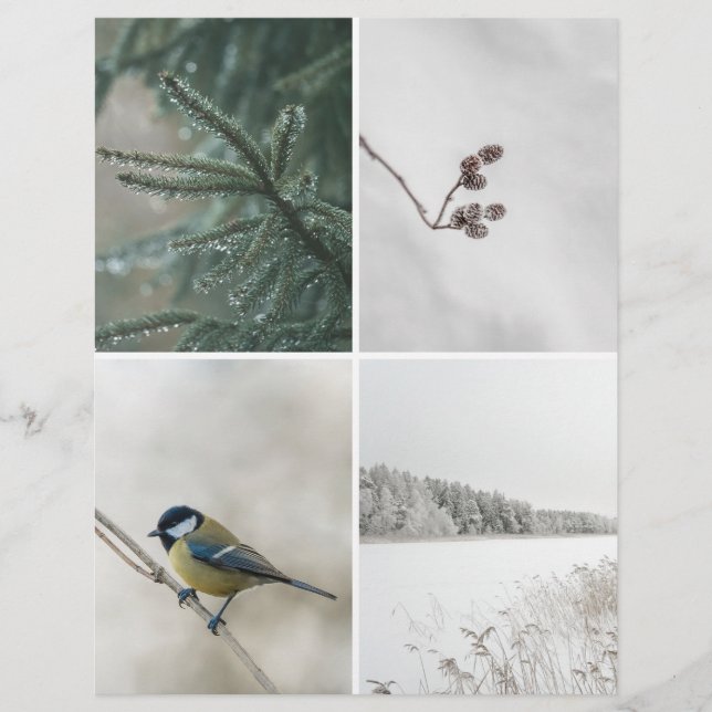 Winter Nature: Christmas Scrapbook Cutout paper (Frente)