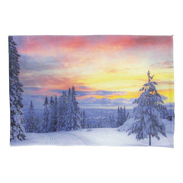 Winter scenery   (Frente)