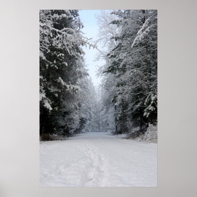 Winter Wonderland Road POSTER (Frente)