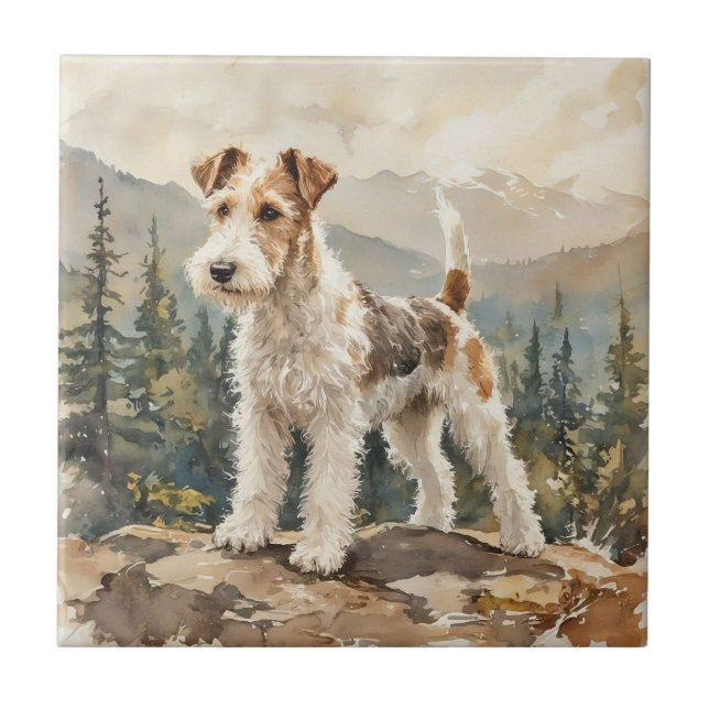 Wire Fox Terrier (Frente)