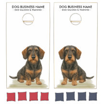 wire haired dachshund Dog