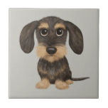 Wirehaired Dachshund | Cachorro de Cartoon Teckel<br><div class="desc">Um javali selvagem com cabelos irregulares e um bronzeado de Teckel. Visite o Doodle World de Jenn para obter ainda mais acessórios para casa e escritório com este engraçado Dachshund e mais designs originais de cachorros-engraçados.</div>